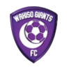 https://img.wuwanghuinong.com/img/football/team/c5a548d374c3bb29f1190bf670442c90.png